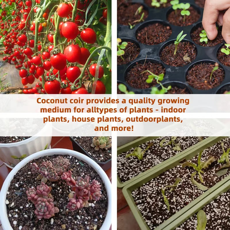 Premium Organic Coconut Coir Bricks for Plants(Collected from Pacific island countries)🥥