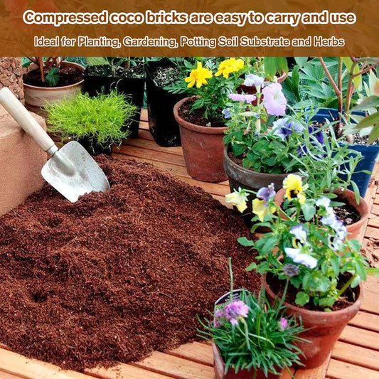 Premium Organic Coconut Coir Bricks for Plants(Collected from Pacific island countries)🥥